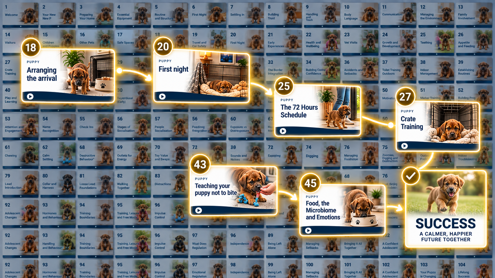 The full Puppy Development System lesson library with the selected critical-path lessons brought forward and connected by a gold pathway line, ending at Success